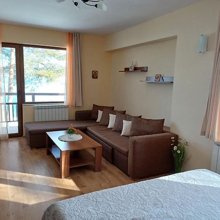 Villa Santa Maria Tsigov Chark Eksteriør billede