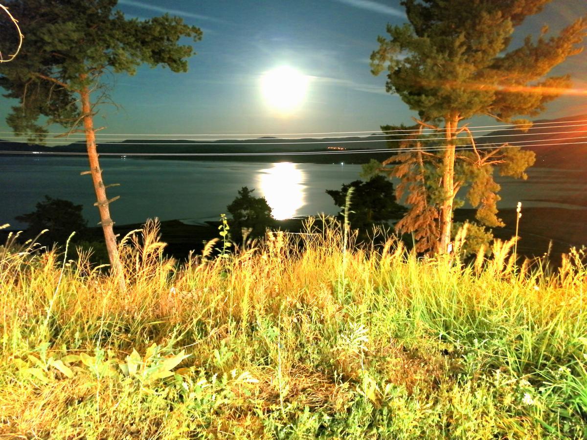 Villa Santa Maria Tsigov Chark Eksteriør billede